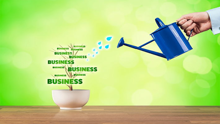 رشد کسب و کار