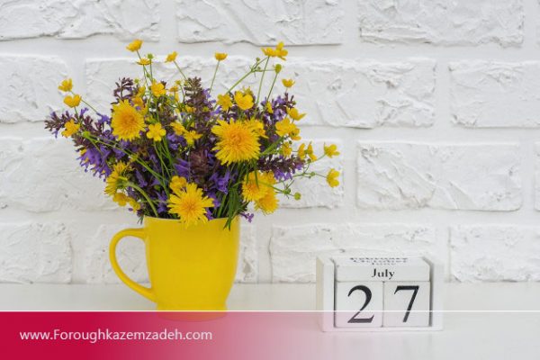 برنامه روزانه